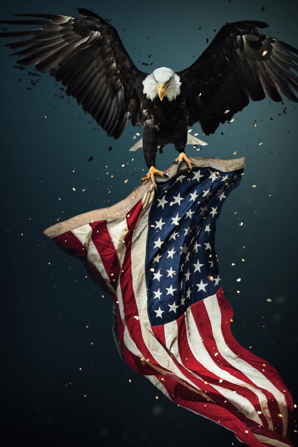 AMERICAN  EAGLE  American Eagle with flag : Smith, Necktima: Amazon.com.tr: Kitap